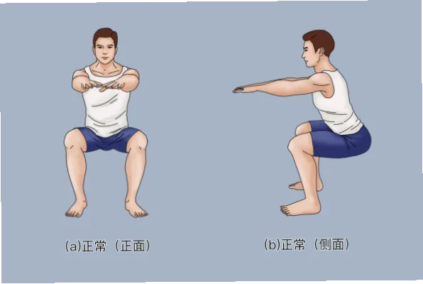 下蹲至大腿平行地面，每组8-12次如何增力量？