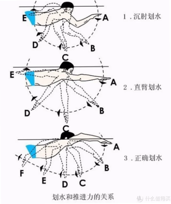 游泳拉长游技术 示意图