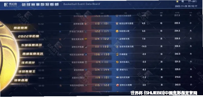 使用指南与风险提示